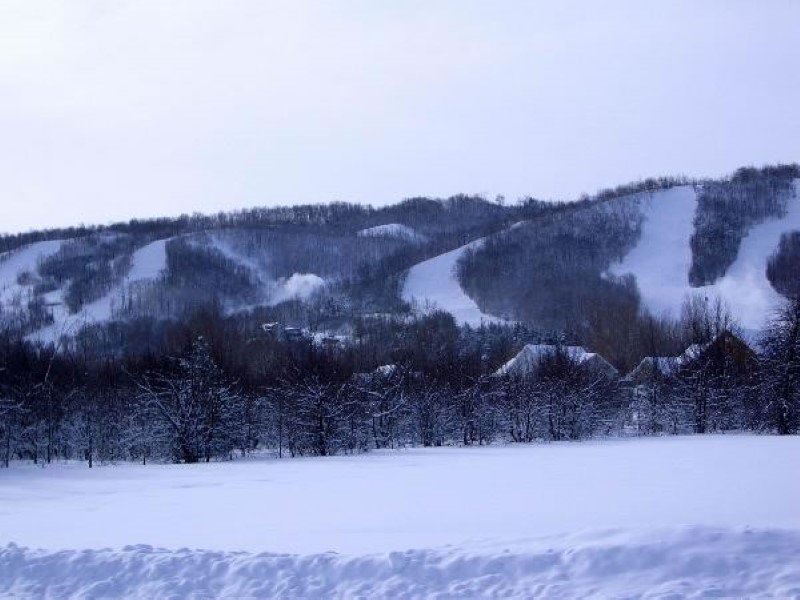Blue Mountain Ski Hills